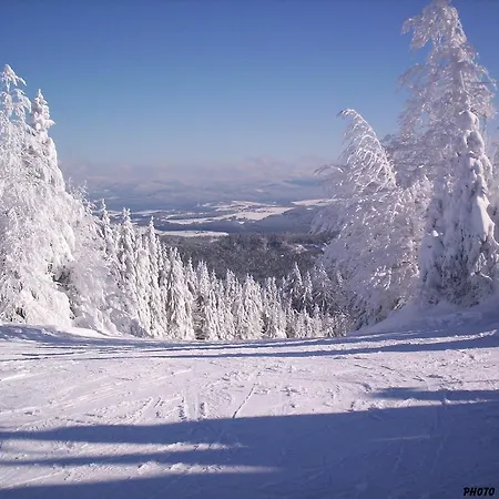 Beim Wartner Chalets Und Fewo Suiten Domek alpejski