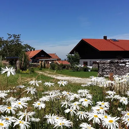 Domek alpejski Beim Wartner Chalets Und Fewo Suiten Teisnach
